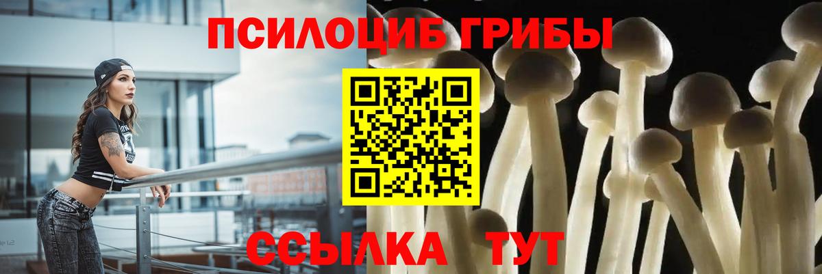 Солнечногорск  Галлюциногенные грибы мицелий  Вход с VPN 
